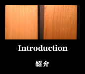 Introduction