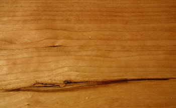 アメリカンブラックチェリー