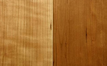 アメリカンブラックチェリー