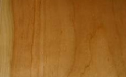 アメリカンブラックチェリー