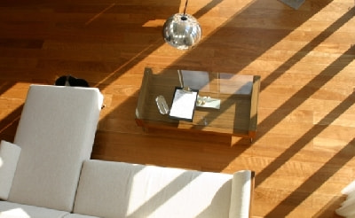 アメリカンブラックチェリー