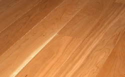 アメリカンブラックチェリー