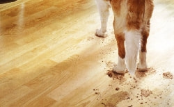 ハードワックスオイル